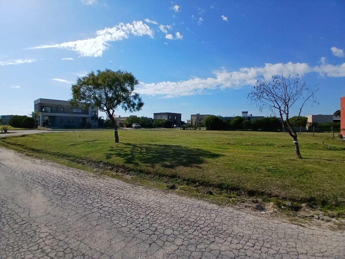 Lote Central de 778 m² Sobre Boulevard Principal, Gba Norte